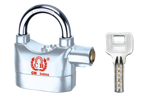 Alarm Lock Product Image